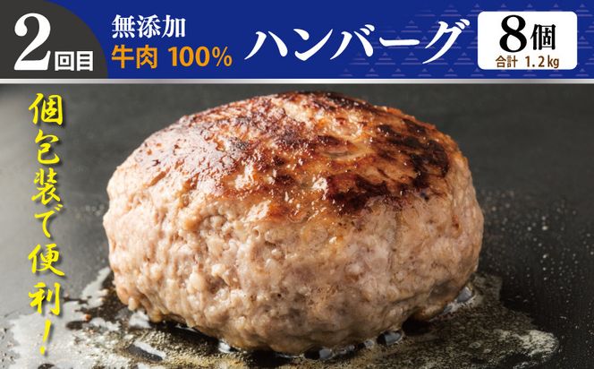 G1243 店主セレクト 食べ比べ 定期便 全4回（ハンバーグ／しらす／スンドゥブチゲ／サムギョプサル）【毎月配送コース】