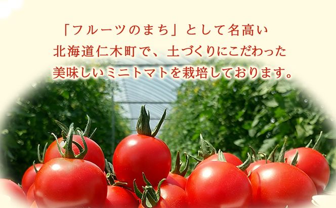 [2026年産][栽培期間中 農薬・化学肥料不使用] 北海道 仁木町産 ミニトマト エコスイート 1.2kg×1箱 サイズ混載 トマト野菜 やさい  [Farm Watanabe]