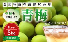 【2026年発送分先行予約】旬をお届け！青梅【２Lサイズ５㎏】 ANAR019