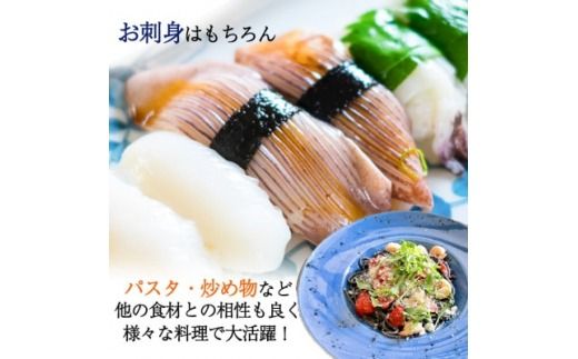 岬だよりのお刺身用天然コウイカ1.2kg(4～5杯)