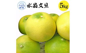【CF-R7hbk】高知県産 水晶文旦 5kg 5キロ 文旦 ブンタン ぶんたん 柑橘 かんきつ 蜜柑 みかん 柑橘類 フルーツ 果物 くだもの デザート おやつ 爽やか 甘い あまい ジュース 美味しい おいしい