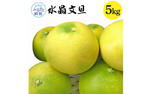 【CF-R7hbk】高知県産 水晶文旦 5kg 5キロ 文旦 ブンタン ぶんたん 柑橘 かんきつ 蜜柑 みかん 柑橘類 フルーツ 果物 くだもの デザート おやつ 爽やか 甘い あまい ジュース 美味しい おいしい