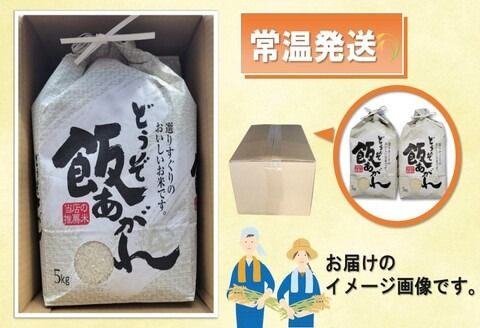 【令和6年産 新米先行受付】さがびより 精米 5kg×2【米 5kg×2 お米 コメ おいしい ランキング 人気 国産 ブランド 地元農家】(H061270)