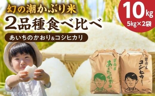 〈数量限定〉【幻の潮かぶり米】令和8年産新米 あいちのかおり&コシヒカリ2品種 食べ比べ10kg（5kg×2袋） 令和8年度産　新米　米 コメ 新米 あいち 愛知 かおり コシヒカリ こしひかり 数量限定 H073-011