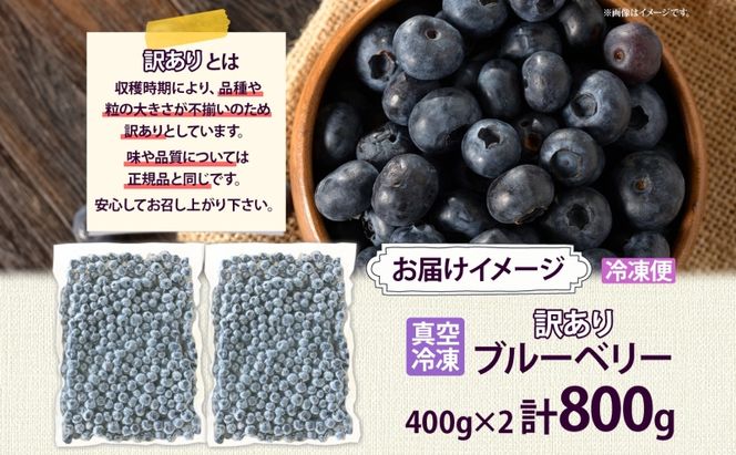 北海道 訳あり ブルーベリー 400g×2袋 果物 果実 フルーツ 新鮮 国産 ベリー 農作物 お取り寄せ グルメ ギフト 冷凍 長期 保存 送料無料 とうやMarche マルシェ