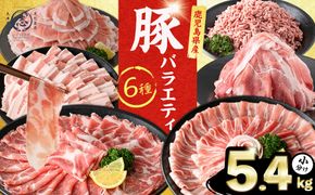 鹿児島県産 豚肉 バラエティ セット6種 計5.4kg b5-201
