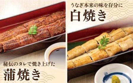 うなぎ 定期便 鰻【全3回定期便】北ノ屋づくし 人気商品7種詰め合わせ （約4ヵ月に1回お届け） 糸島市 / 北ノ屋うなぎ [ACL005] うなぎ 鰻 ウナギ 蒲焼き 白焼き 国産 蒲焼 タレ セット