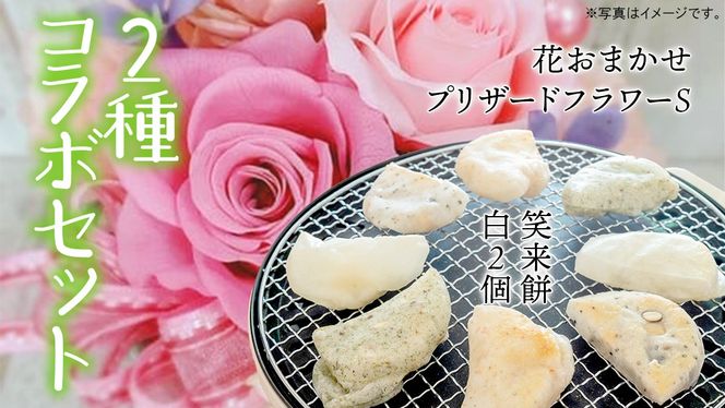 y錧}szy }s ӂ邳Ɣ[Ō R{ z s ԐF ܂ vU[uh t[ S ts Η 2 Zbgi2j t AWg  Mtg v[g a LO hV    [ZZ048ci]