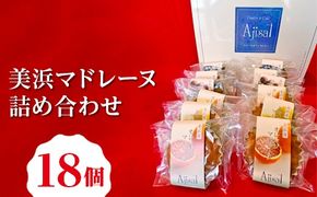 美浜マドレーヌ詰め合わせ　18個 （6種×3個） ｜ マドレーヌ 焼き菓子 洋菓子 おやつ お菓子 おかし スイーツ おすすめ 人気 詰め合わせ セット 贈り物 プレゼント ギフト 愛知県 美浜町