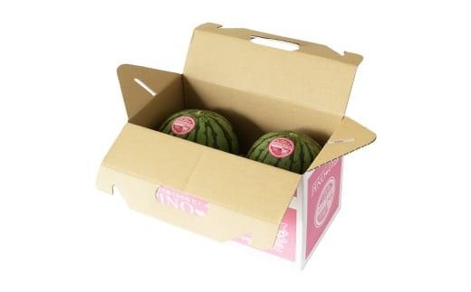 【 訳あり 】 こだますいか 「 ピノ・ガール 」 2玉 2026年産 先行予約 筑西ブランド こだまスイカ 小玉スイカ すいか スイカ フルーツ 果物 [AF081ci]