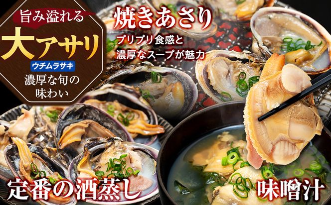 大あさり むき身 500g×1パック 小分け 大アサリ あさり