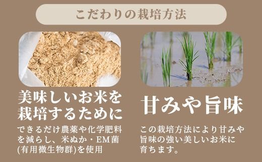 【定期便 3回】3ヶ月連続でお届け 星の美しゃ・於茂登のひかり・ひとめぼれ 5kg が毎月交互に届く(合計15kg) 石垣島産 【 日本一早い新米の産地 石垣 ふるさと納税 沖縄県 石垣市 石垣島 米 星 星の美しゃ】MK-8