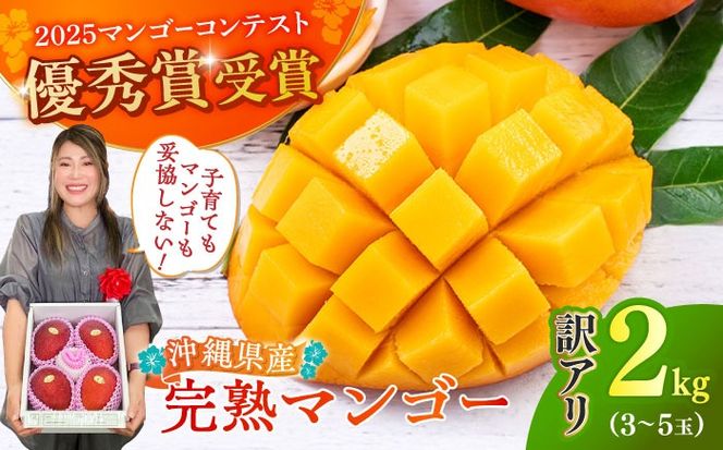 【優秀賞受賞】沖縄県産 完熟マンゴー 訳アリ 2kg (3〜5玉) マンゴー 沖縄 果物 フルーツ ギフト 沖縄市 / MAIFARM[BCAN004]