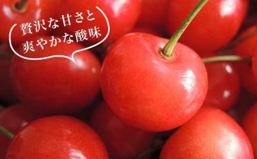 旬のさくらんぼ 約500g ＆ 旬の果実ゼリーセット［小布施屋］ 佐藤錦 紅秀峰 紅てまり など くだもの 果物 サクランボ バラ詰め ブラムリーゼリー チェリーキッスゼリー 令和7年産 【2025年6月中旬～7月上旬発送】 ［A-1］