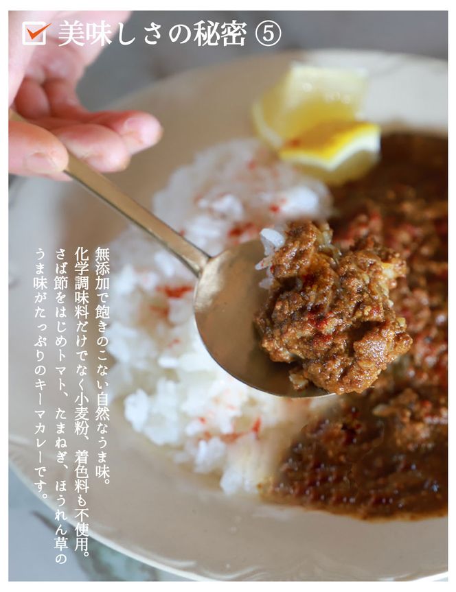【きょうのおだし】さばだしキーマカレー 10食入［ 京都 削り節屋  おだしのプロ スパイスカレー 人気 おすすめ 和風カレー おいしい ギフト プレゼント お取り寄せ 通販 送料無料 ふるさと納税 ］ 261009_B-KD37