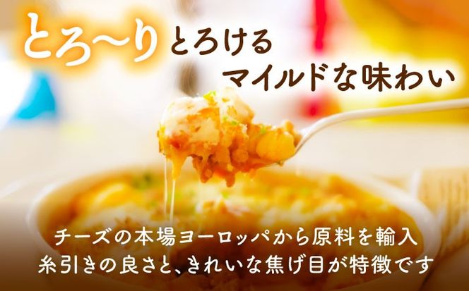 ミックスチーズセット 300g×5袋 計1.5kg チーズ モッツァレラ ゴーダ 愛西市 / 株式会社ヨシダコーポレーション [AEAA001]