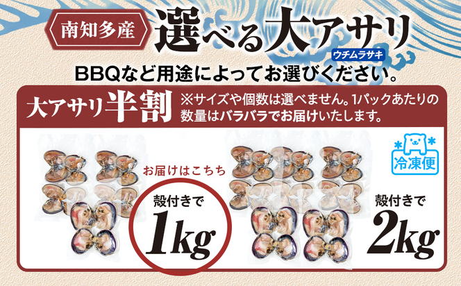【限定寄附額】 大アサリ 半割 約1kg おおあさり