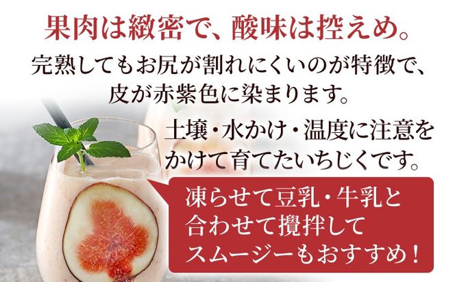 いちじく 博多とよみつひめ 300g×4パック いちじく イチジク 無花果 計1.2kg 福岡限定 フルーツ 果物 とよみつひめ 九州 福岡 ジューシー 糖度が高い スムージー フレッシュ 福岡県産【2026年7月下旬以降順次発送予定】