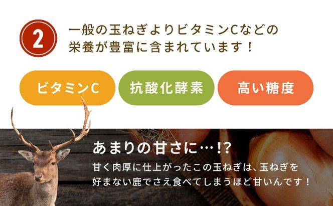 ※業務用※ 伊達産【えったま333】の炒め玉ねぎ ソテードオニオン 1kg×10袋（冷凍）【55250658】