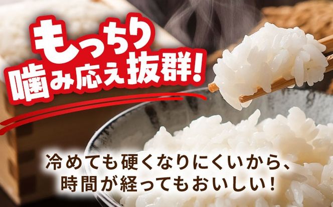 【先行予約/10月より順発送】 【令和7年度産 新米 】 にこまる 白米 10kg お米 ご飯  愛西市 / 戸倉トラクター 【配達不可：離島】 [AECS056]