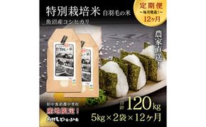 【通年受付】≪令和8年産≫【定期便／全12回】農家直送！魚沼産コシヒカリ特別栽培「白羽毛の米」精米(5kg×2袋)×12回 120kg お米