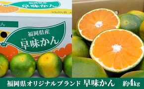 福岡限定 オリジナルブランド みかん「早味かん」約4kg【配送不可：離島】 果物類 柑橘類 フルーツ 