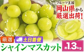 【土日着便】シャインマスカット 約1.3kg(2-3房)【配送不可地域あり(離島)】《2026年9月上旬-11月上旬頃出荷》岡山県 笠岡市 シャインマスカット 厳選 ぶどう ブドウ 葡萄 マスカット 果物 フルーツ ギフト---kasaoka_zsy_418_1300-hd---