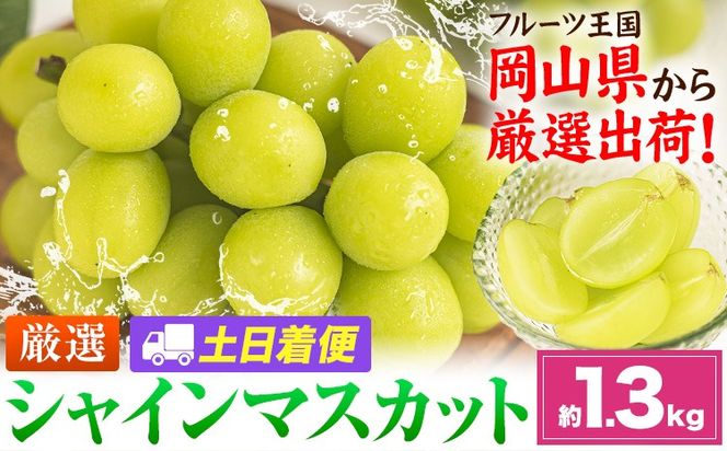 【土日着便】シャインマスカット 約1.3kg(2-3房)【配送不可地域あり(離島)】《2026年9月上旬-11月上旬頃出荷》岡山県 笠岡市 シャインマスカット 厳選 ぶどう ブドウ 葡萄 マスカット 果物 フルーツ ギフト---kasaoka_zsy_418_1300-hd---