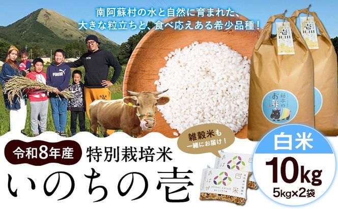 令和8年産 特別栽培米 いのちの壱 白米 10kg (5kg×2袋) 雑穀米付き 虹色のかば《30日以内に出荷予定(土日祝除く)》熊本県 南阿蘇村 熊本県産 お米 こめ コメ 米 精米---sms_inci6_30d_r8_28000_h10kg2---