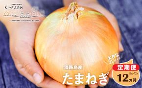 【玉ねぎ定期便12ヶ月】淡路島たまねぎ 大きな2Lサイズ 5kg　玉ねぎ