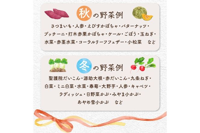 【数量限定】自然栽培野菜セット（団らん）　AB00007