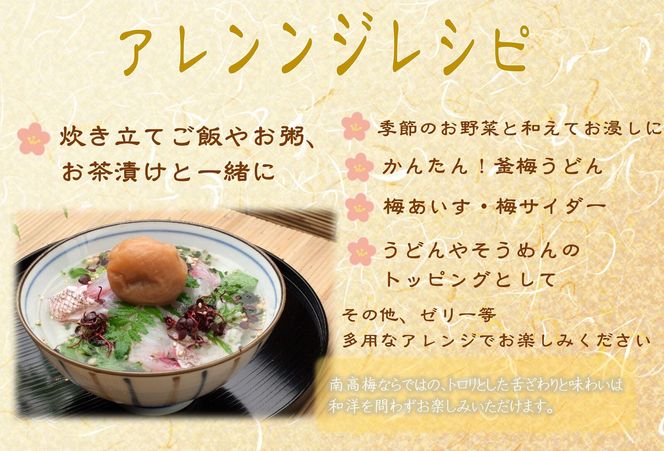 【定期便・3ヵ月毎 全3回】紀州南高梅 はちみつ極 850g ［YM10］ 303446_DX90026