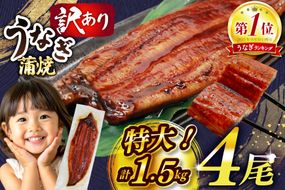 うなぎ 蒲焼 特大サイズ 肉厚 約 1.5kg 4尾 タレ・山椒付 茶葉蒸し [大黒物産 福岡県 宇美町 um40bak830002] 鰻 ウナギ 小分け うなぎ蒲焼 鰻蒲焼き 訳あり 蒲焼き かば焼き 茶葉蒸しうなぎ 真空パック 個包装 冷凍 unagi