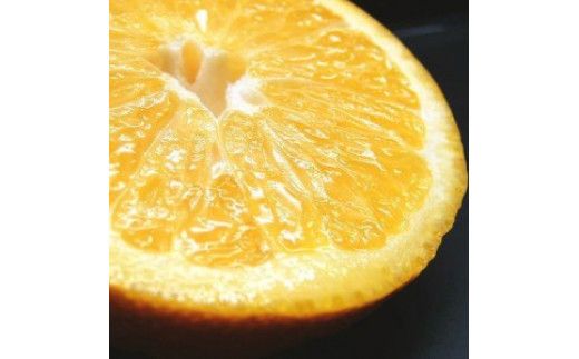  八朔 約5kg サイズおまかせ / ハッサク はっさく みかん 蜜柑 柑橘 果物 フルーツ 紀伊国屋文左衛門本舗 ※2027年1月下旬～4月上旬頃発送予定 【kmtb021-r-5A】