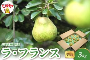 【2026年産】 ラ・フランス 3kg（6-13玉） 秀品 山形県 東根市 千笑花夢提供 hi082-021-r8