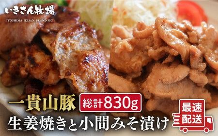 焼くだけかんたん!一貴山豚生姜焼き1個小間みそ漬け2個 いきさん牧場 [糸島][AGB005] 生姜焼き 豚小間 味噌漬け 冷凍 焼くだけ 子供も 豚肉 福岡 惣菜生姜焼き 惣菜豚小間 惣菜味噌漬け 惣菜冷凍 惣菜焼くだけ 惣菜子供も 惣菜豚肉 惣菜福岡