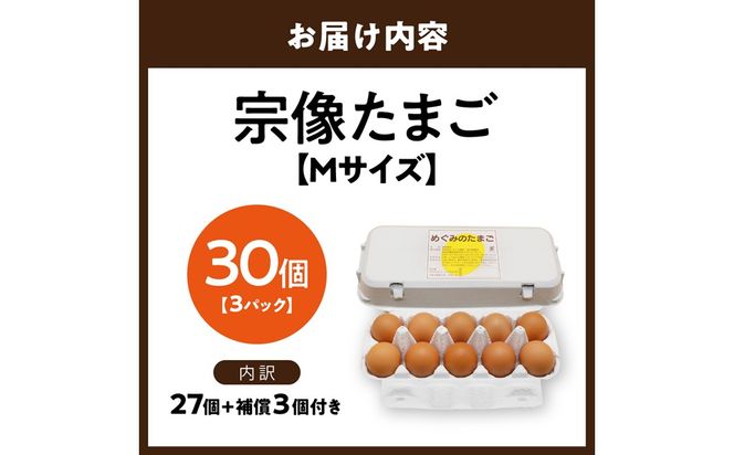 JAむなかたよりお届け！宗像たまご30個（27個＋補償3個）【JAほたるの里】_HA0915