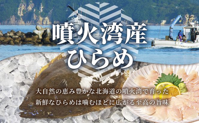 北海道 噴火湾産 ひらめの刺身 500g 【ru-0927】 刺身 平目 ヒラメ 魚 魚介類 海鮮 おかず 米 簡単 便利 新鮮 北海道 登別