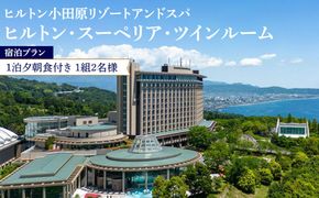 【チケット有効期限延長！】ヒルトン・スーペリア・ツインルーム宿泊プラン　1泊夕朝食付き　平日　＜1組2名様＞★オーシャンビュー！天然温泉大浴場、プール施設利用含む【オーシャンビュー フィットネス 天然温泉大浴場 バーデゾーン ヒルトン 神奈川県 小田原市 】 142069_BG004