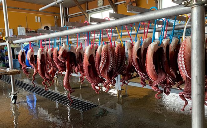 北海道オホーツク海産　たこ足スライス3パック 魚貝類 蛸 タコ 