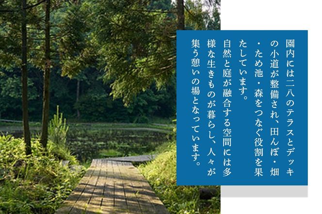 宿泊 森のテラス 宿泊プラン（かわせみ）【1泊1名 素泊まり】森吉|mrtr-030201