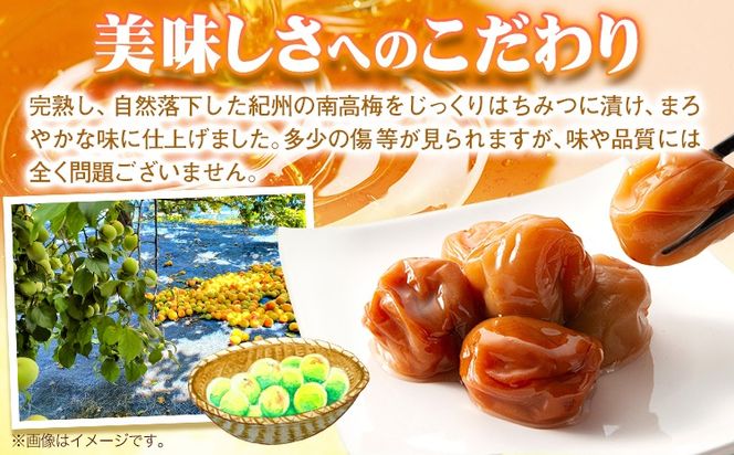 南高梅 はちみつ 梅 わけあり 紀州南高梅 はちみつ梅 1kg または 2.6kg 有限会社プラム《30日以内に出荷予定(土日祝除く)》和歌山県 日高町 送料無料 梅 うめ ウメ 南高梅 蜂蜜 紀州 訳あり 送料無料---wsh_plm9_30d_25_10000_1kg---