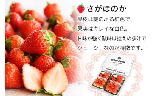 ＜宮崎県産 有機いちご250g×2パック＞※入金確認後、2026年1月下旬～3月上旬までに順次出荷
