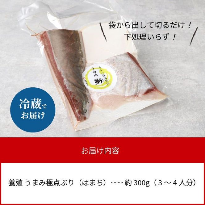 〈数量限定〉日向灘ぶり　はまち　うまみ極点製法　食べきりパック　300g　N124-YZA3304