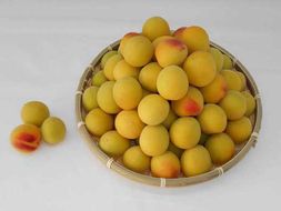 ［梅干づくり用］紀州南高梅5kg（2Lサイズ） 304018_AV03