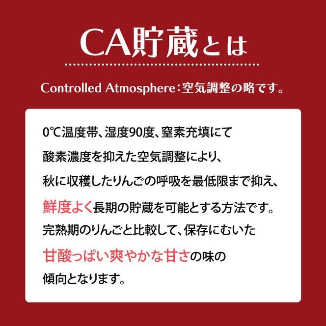 【平均糖度13度以上】3月発送 家庭用 訳あり CA貯蔵 サンふじ 約 5kg りんご リンゴ 林檎 果物 フルーツ わけあり 青森