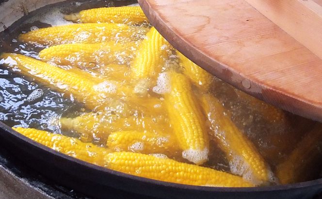 【2026年7月中旬～発送】朝もぎ とうもろこし 恵味 めぐみ 10本 L-2L 北海道 富良野市 (大島農園)