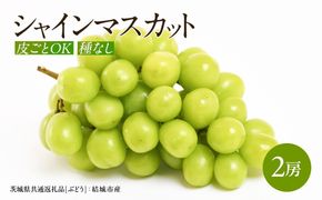 田舎の頑固おやじが厳選！シャインマスカット2房【2026年8月から発送開始】（茨城県共通返礼品 [ぶどう]：結城市産） マスカット 種なし 高糖度 ギフト お中元 甘い 美味しい フルーツ ぶどう [BI55-NT]