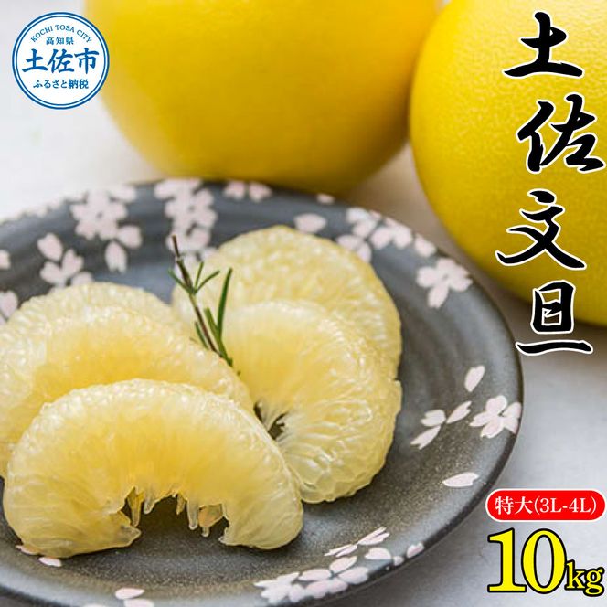 【先行予約】土佐文旦 特大(3L～4L)サイズ 約10kg 〈2027年2月〜発送〉 ぶんたん ブンタン 果物 柑橘 フルーツ お取り寄せ おいしい 美味しい 故郷納税 ふるさとのうぜい 返礼品 高知 高知県 土佐市【株式会社種田農園】 [BQBW006]