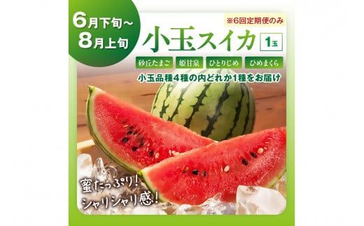 【先行予約／フルーツ定期便6回】旬の果物厳選！京丹後フルーツ王国満足セット（完熟イチゴ・小玉スイカ・桃・メロン・完熟ブドウ＆シャインマスカット食べ比べ・二十世紀梨）（2026年2月中旬～発送）　YK00518